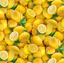 Ткань 100% хлопок [483 Yellow] оптом