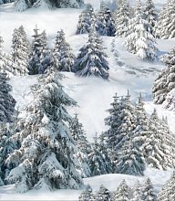 Ткань 100% хлопок [215 White] оптом