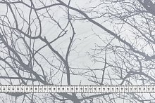 Ткань 100% хлопок [AL-11937] оптом